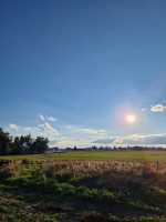17eac59a-20250930-171801.jpeg