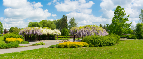 Park U Popraviště